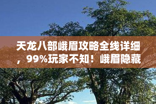 天龙八部峨眉攻略全线详细，99%玩家不知！峨眉隐藏神技竟让战力飙升300%？