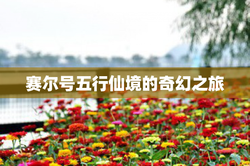 赛尔号五行仙境的奇幻之旅图片