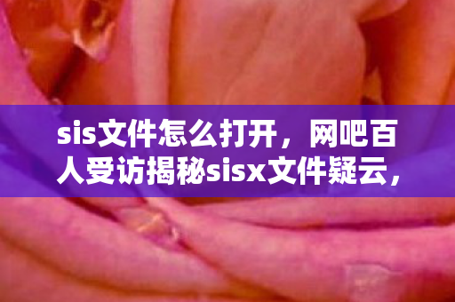 sis文件怎么打开，网吧百人受访揭秘sisx文件疑云，真相绷不住泪洒当场