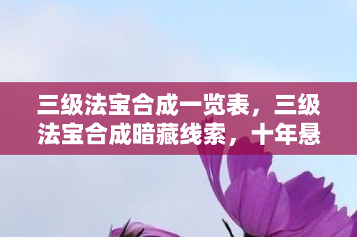 三级法宝合成一览表，三级法宝合成暗藏线索，十年悬案背后毛骨悚然真相
