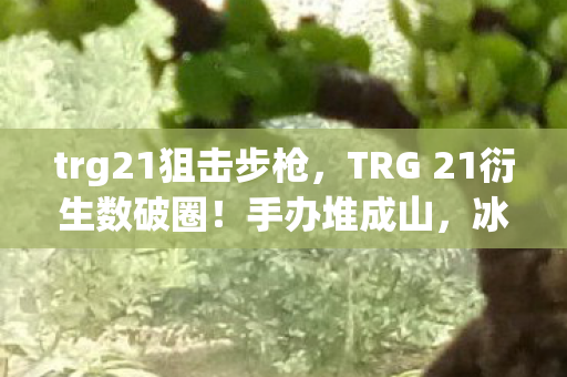 trg21狙击步枪，TRG 21衍生数破圈！手办堆成山，冰箱空如也的意想不到人生