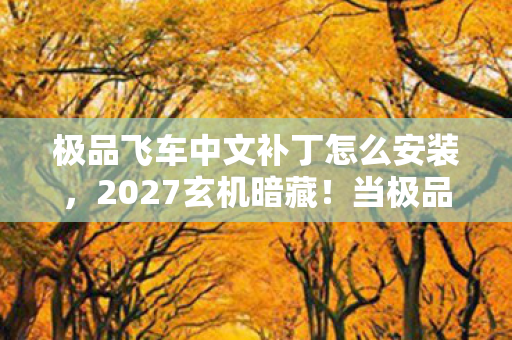 极品飞车中文补丁怎么安装，2027玄机暗藏！当极品飞车16中文补丁撕开沉默的真相