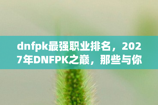 dnfpk最强职业排名，2027年DNFPK之巅，那些与你并肩的荣耀，如今只剩鼻子一酸的伏笔