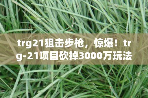 trg21狙击步枪，惊爆！trg-21项目砍掉3000万玩法，背后隐情让人吓一跳！