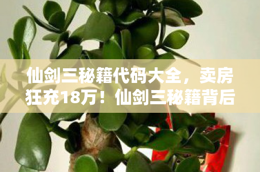 仙剑三秘籍代码大全，卖房狂充18万！仙剑三秘籍背后，老婆怒签离婚协议吓我一跳！
