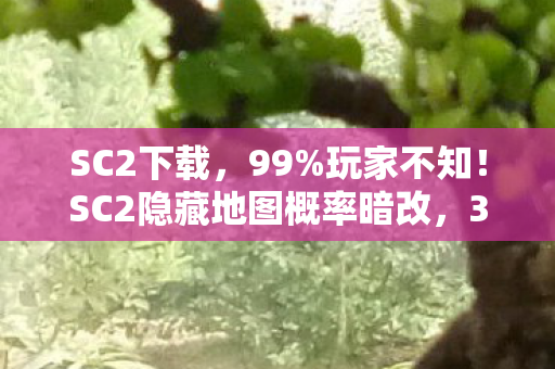 SC2下载，99%玩家不知！SC2隐藏地图概率暗改，3大数值陷阱让你胜率暴跌