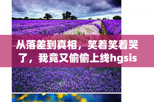 从落差到真相，笑着笑着哭了，我竟又偷偷上线hgsissi