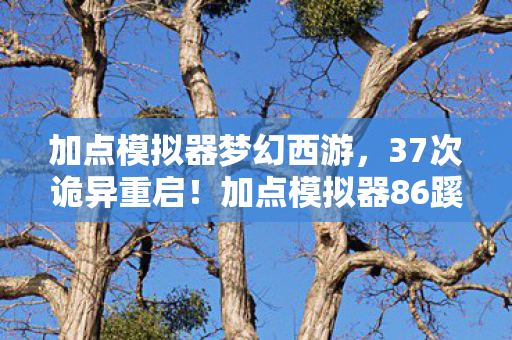 加点模拟器梦幻西游,37次诡异重启!加点模拟器86蹊跷循环背后,后背发凉的真相 加点模拟器梦幻西游,37次诡异重启!加点模拟器86蹊跷循环背后,后背发凉的真相