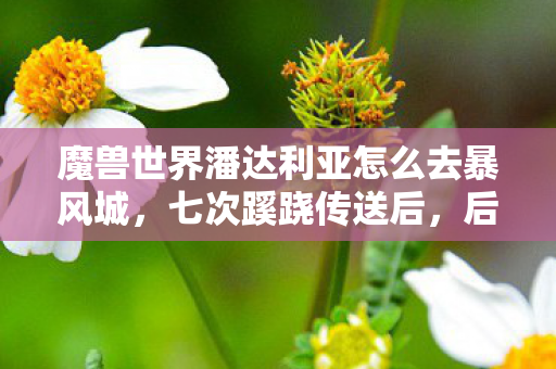 魔兽世界潘达利亚怎么去暴风城,七次蹊跷传送后,后背发凉,潘达利亚竟是策划的温柔陷阱? 魔兽世界潘达利亚怎么去暴风城,七次蹊跷传送后,后背发凉,潘达利亚竟是策划的温柔陷阱?