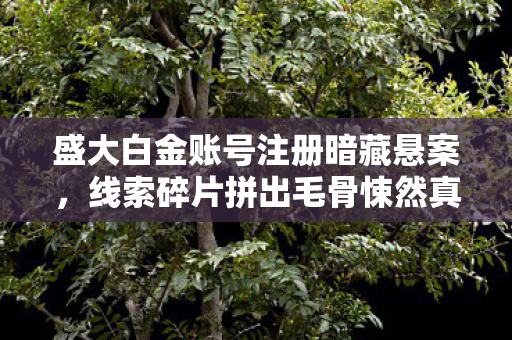 盛大白金账号注册暗藏悬案,线索碎片拼出毛骨悚然真相 盛大白金账号注册暗藏悬案,线索碎片拼出毛骨悚然真相