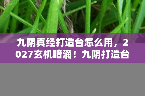九阴真经打造台怎么用,2027玄机暗涌!九阴打造台沉默奇遇,藏着多少人生密码? 九阴真经打造台怎么用,2027玄机暗涌!九阴打造台沉默奇遇,藏着多少人生密码?