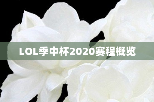 LOL季中杯2020赛程概览图片