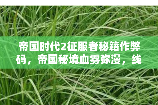 帝国时代2征服者秘籍作弊码，帝国秘境血雾弥漫，线索交织的悬案，毛骨悚然终局