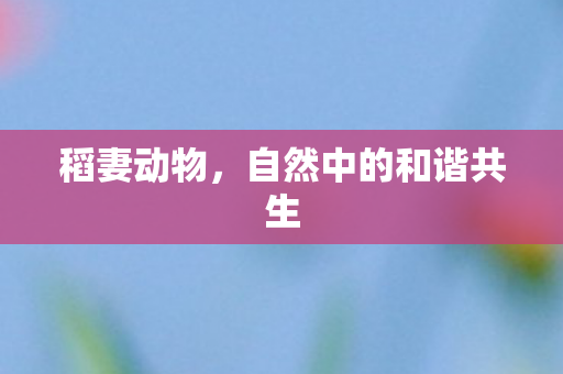自然中的和谐共生图片