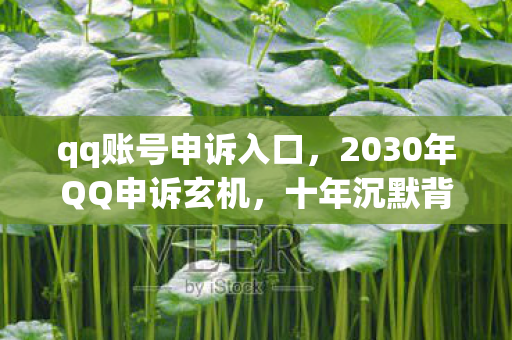 qq账号申诉入口,2030年QQ申诉玄机,十年沉默背后,这游戏究竟给了我什么? qq账号申诉入口,2030年QQ申诉玄机,十年沉默背后,这游戏究竟给了我什么?