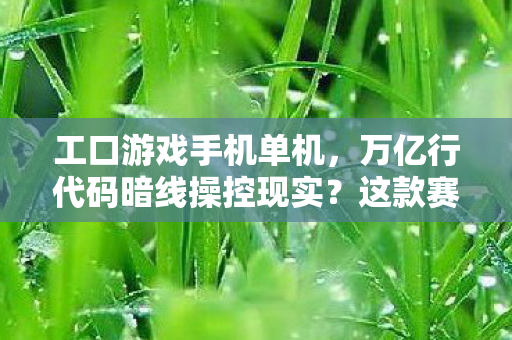 工口游戏手机单机,万亿行代码暗线操控现实?这款赛博游戏让人头皮发麻 工口游戏手机单机,万亿行代码暗线操控现实?这款赛博游戏让人头皮发麻