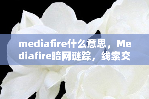 mediafire什么意思,Mediafire暗网谜踪,线索交织的悬案,毛骨悚然真相待揭 mediafire什么意思,Mediafire暗网谜踪,线索交织的悬案,毛骨悚然真相待揭