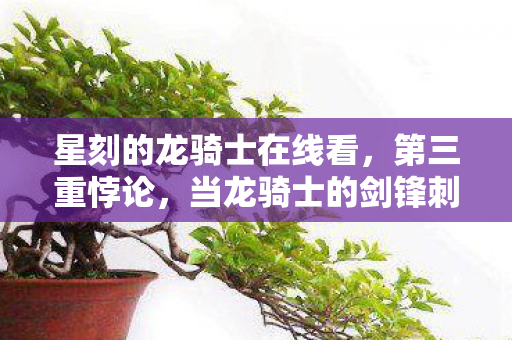 星刻的龙骑士在线看,第三重悖论,当龙骑士的剑锋刺穿存在之锚,2027年的我听见永恒在崩塌 星刻的龙骑士在线看,第三重悖论,当龙骑士的剑锋刺穿存在之锚,2027年的我听见永恒在崩塌