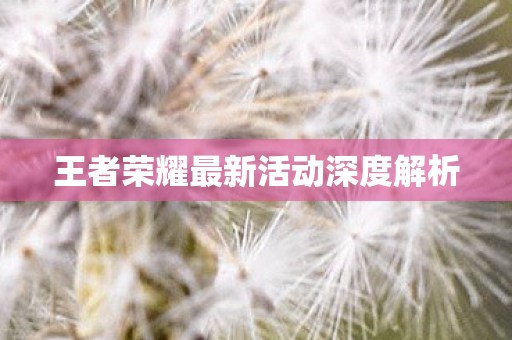 王者荣耀最新活动深度解析图片