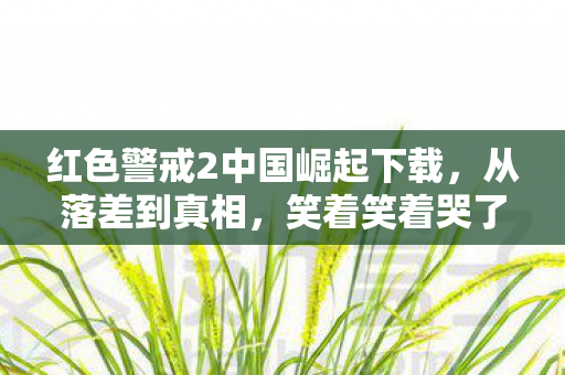 红色警戒2中国崛起下载,从落差到真相,笑着笑着哭了,红色警戒2中国崛起的荒诞与深情 红色警戒2中国崛起下载,从落差到真相,笑着笑着哭了,红色警戒2中国崛起的荒诞与深情