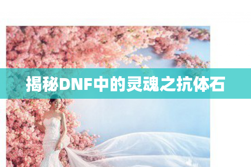 揭秘DNF中的灵魂之抗体石图片