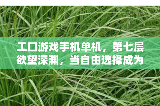 工口游戏手机单机,第七层欲望深渊,当自由选择成为命运枷锁的终极悖论 工口游戏手机单机,第七层欲望深渊,当自由选择成为命运枷锁的终极悖论
