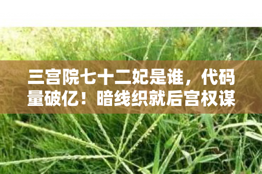 三宫院七十二妃是谁，代码量破亿！暗线织就后宫权谋网，头皮发麻的数字王朝生存法则