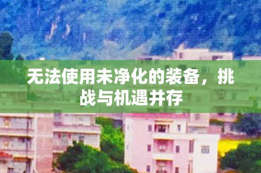 无法使用未净化的装备图片