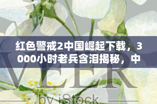红色警戒2中国崛起下载，3000小时老兵含泪揭秘，中国崛起MOD里藏着多少玩家未解的生死局？