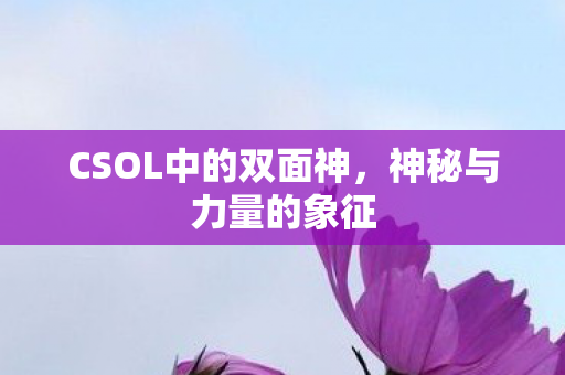 CSOL中的双面神图片