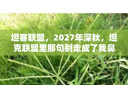 坦客联盟,2027年深秋,坦克联盟里那句别走成了我鼻子一酸的伏笔 坦客联盟,2027年深秋,坦克联盟里那句别走成了我鼻子一酸的伏笔