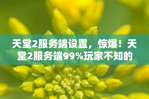 天堂2服务端设置,惊爆!天堂2服务端99%玩家不知的隐藏设定,错过再等十年? 天堂2服务端设置,惊爆!天堂2服务端99%玩家不知的隐藏设定,错过再等十年?