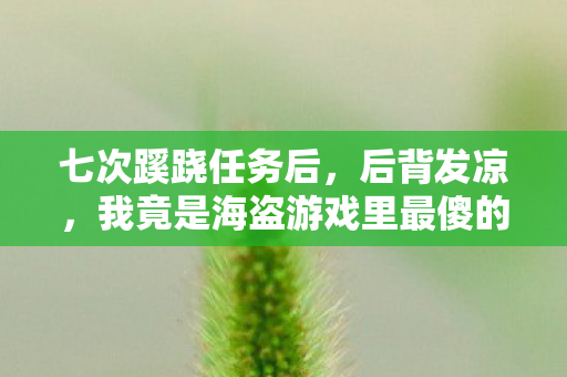 七次蹊跷任务后,后背发凉,我竟是海盗游戏里最傻的NPC? 七次蹊跷任务后,后背发凉,我竟是海盗游戏里最傻的NPC?