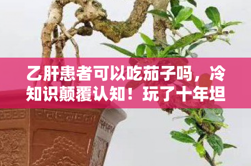 天堂草原歌曲原唱，10W+衍生数据炸场！天堂草原破圈音乐综艺，竟成时尚圈意想不到黑马