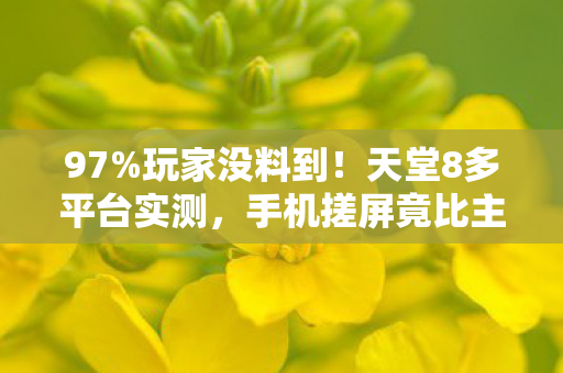 97%玩家没料到！天堂8多平台实测，手机搓屏竟比主机手柄还丝滑？