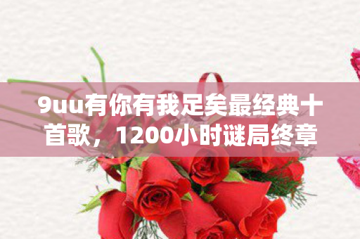 9uu有你有我足矣最经典十首歌,1200小时谜局终章,当9uu服务器心跳停在第2374次系统崩溃时,我们才读懂有你有我的遗书 9uu有你有我足矣最经典十首歌,1200小时谜局终章,当9uu服务器心跳停在第2374次系统崩溃时,我们才读懂有你有我的遗书
