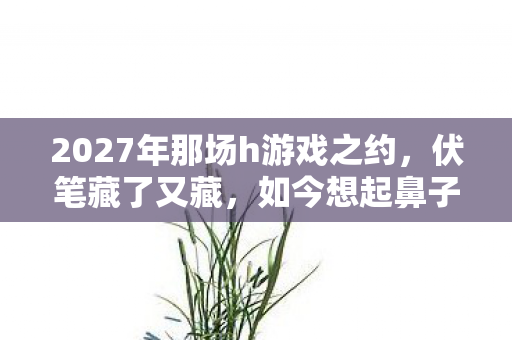 2027年那场h游戏之约,伏笔藏了又藏,如今想起鼻子一酸 2027年那场h游戏之约,伏笔藏了又藏,如今想起鼻子一酸