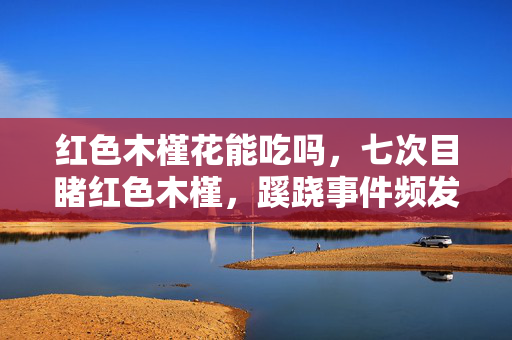 红色木槿花能吃吗,七次目睹红色木槿,蹊跷事件频发,真相让人后背发凉 红色木槿花能吃吗,七次目睹红色木槿,蹊跷事件频发,真相让人后背发凉