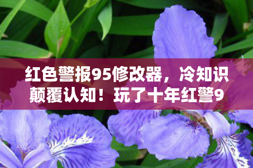 红色警报95修改器,冷知识颠覆认知!玩了十年红警95,真相让我目瞪口呆 红色警报95修改器,冷知识颠覆认知!玩了十年红警95,真相让我目瞪口呆