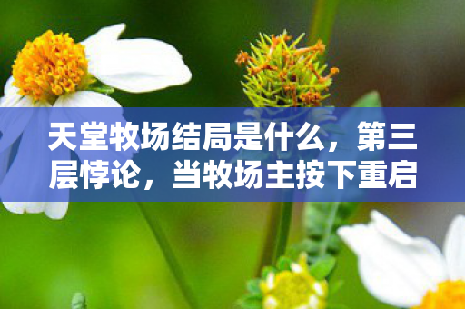 天堂牧场结局是什么,第三层悖论,当牧场主按下重启键,灵魂震颤的竟是现实 天堂牧场结局是什么,第三层悖论,当牧场主按下重启键,灵魂震颤的竟是现实
