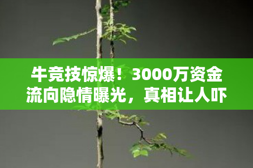 牛竞技惊爆!3000万资金流向隐情曝光,真相让人吓一跳! 牛竞技惊爆!3000万资金流向隐情曝光,真相让人吓一跳!
