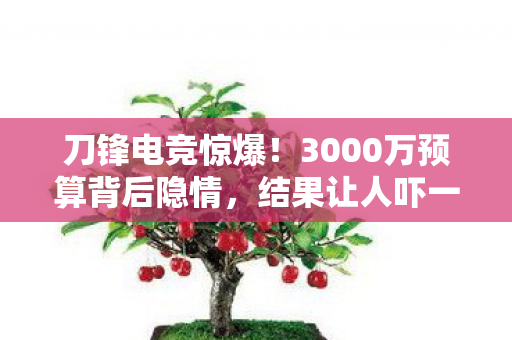 刀锋电竞惊爆!3000万预算背后隐情,结果让人吓一跳! 刀锋电竞惊爆!3000万预算背后隐情,结果让人吓一跳!