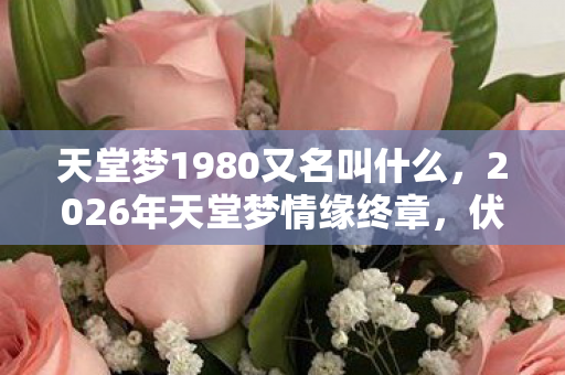 64位Linux惊现64人集体懵圈!这疑点谁看了不绷不住? 64位Linux惊现64人集体懵圈!这疑点谁看了不绷不住?