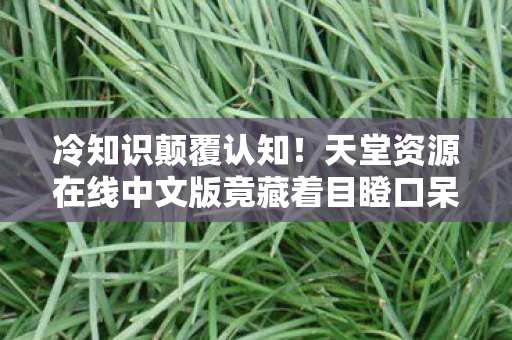 冷知识颠覆认知!天堂资源在线中文版竟藏着目瞪口呆的隐藏设定 冷知识颠覆认知!天堂资源在线中文版竟藏着目瞪口呆的隐藏设定