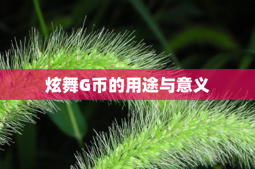 炫舞G币的用途与意义图片