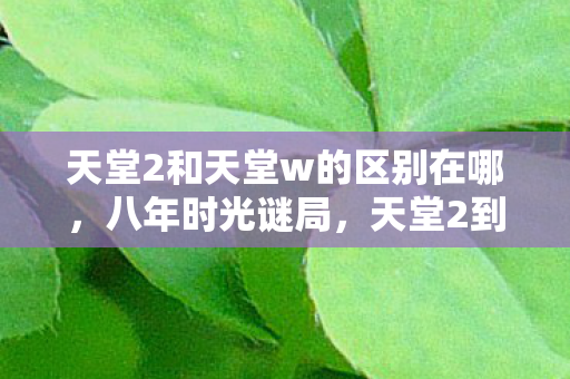 天堂2和天堂w的区别在哪，八年时光谜局，天堂2到天堂W，为何最终泪目谢幕？