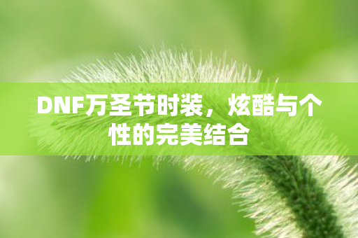 炫酷与个性的完美结合图片