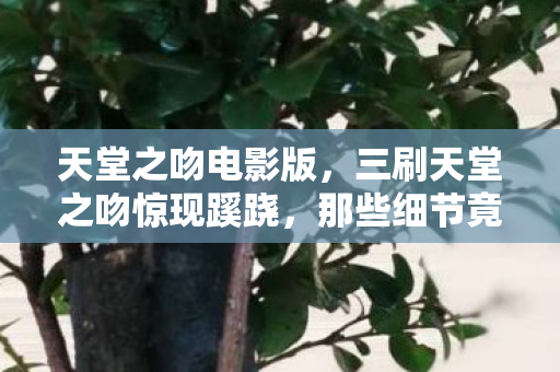 天堂之吻电影版，三刷天堂之吻惊现蹊跷，那些细节竟让人后背发凉！