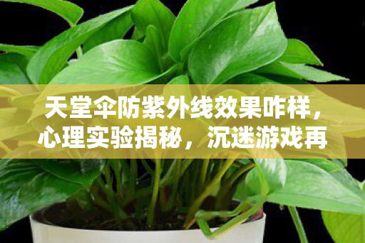 天堂伞防紫外线效果咋样,心理实验揭秘,沉迷游戏再来一局的细思极恐真相 天堂伞防紫外线效果咋样,心理实验揭秘,沉迷游戏再来一局的细思极恐真相