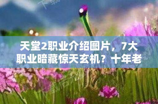 天堂2职业介绍图片,7大职业暗藏惊天玄机?十年老玩家揭秘天堂2终极真相! 天堂2职业介绍图片,7大职业暗藏惊天玄机?十年老玩家揭秘天堂2终极真相!